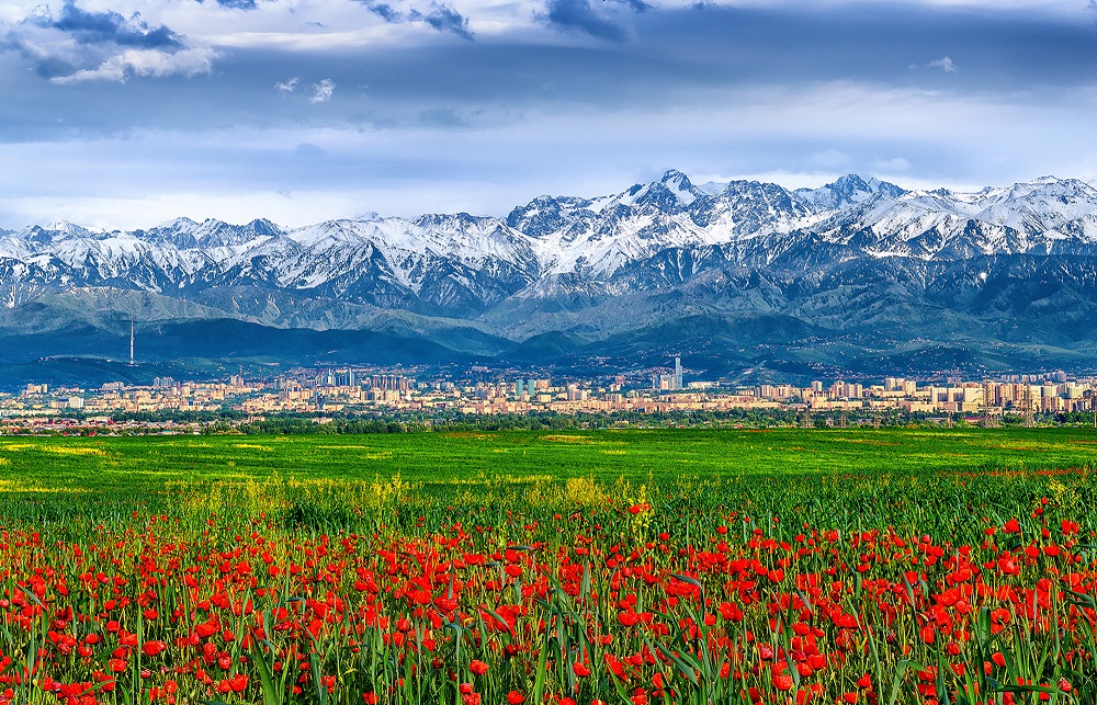 Panorama of Almaty city, photo by Deonisy Mit