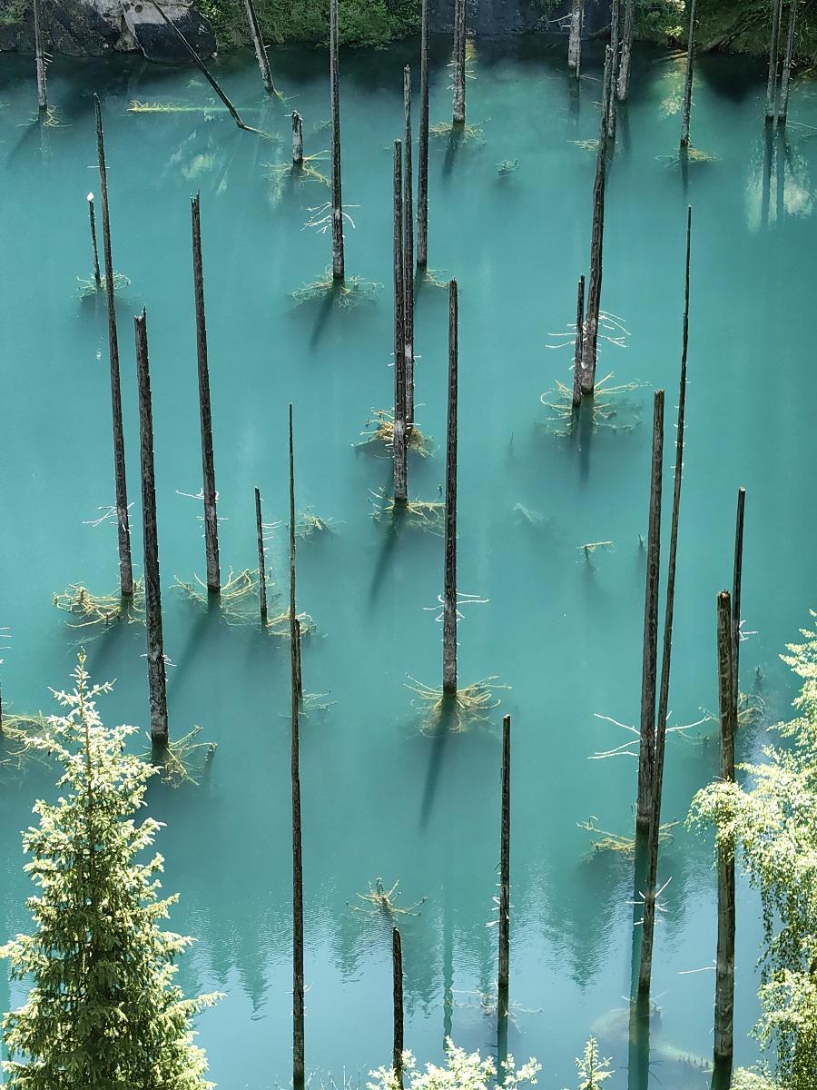 View of Lake Kaindy, photo by Azamat Mukhametzhanov