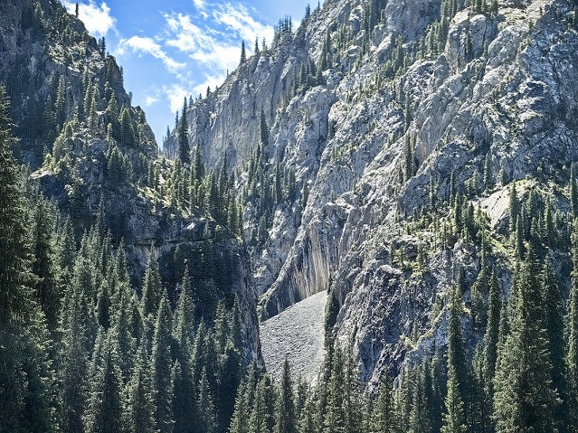 Kaindy lake gorge, photo by Azamat Mukhametzhanov